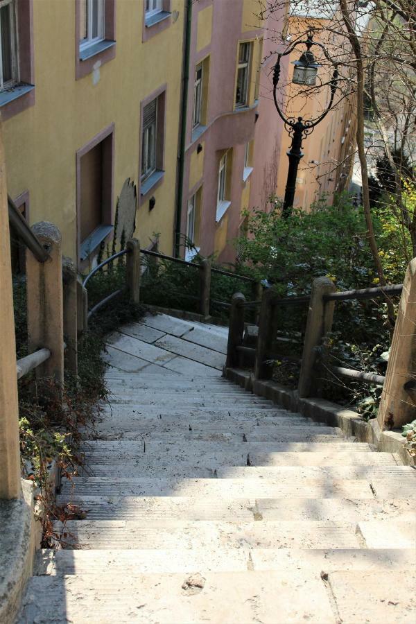 Budasmile Appartment At Buda Castle - Aircon & Free Parking Boedapest Buitenkant foto